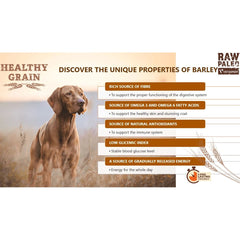 Hundetrockenfutter - Healthy Grain Lamb & Barley Adult - Hundefutter