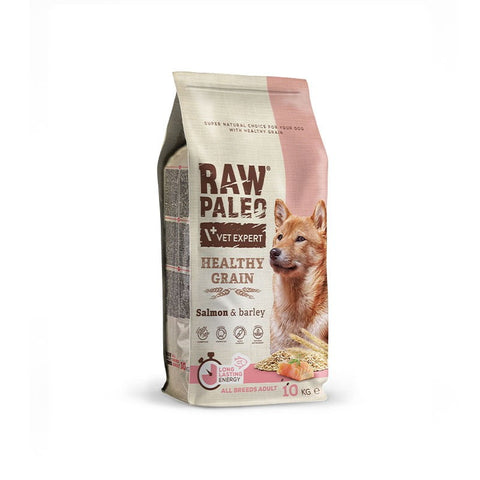 Raw Paleo Healthy Grain Salmon & Barley Adult - Hundefutter