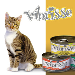 Vibrisse Natural Katzenfutter / Ergänzungsfutter - Verschiedene Geschmacksrichtungen - 70g