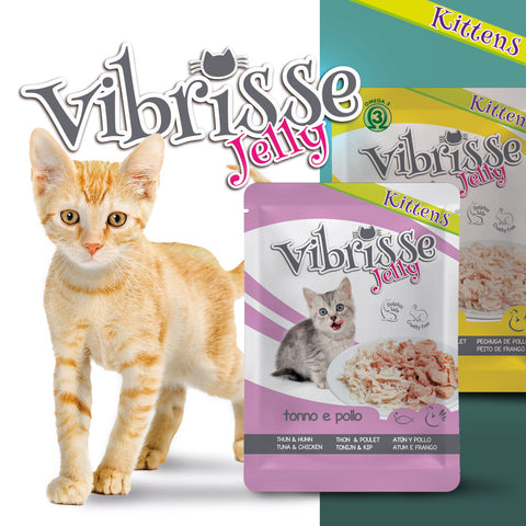 Vibrisse Jelly Kitten im Beutel – Verschiedene Geschmacksrichtungen Katzenfutter